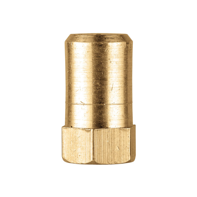 Pico Longvie Antiguo