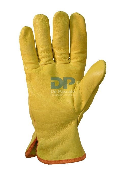 Guante Lincoln Forrado T10