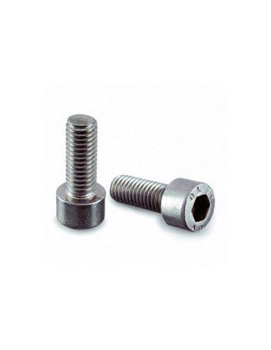 Tornillo Hierro Cab/Redonda 5/16 X 2 1/2