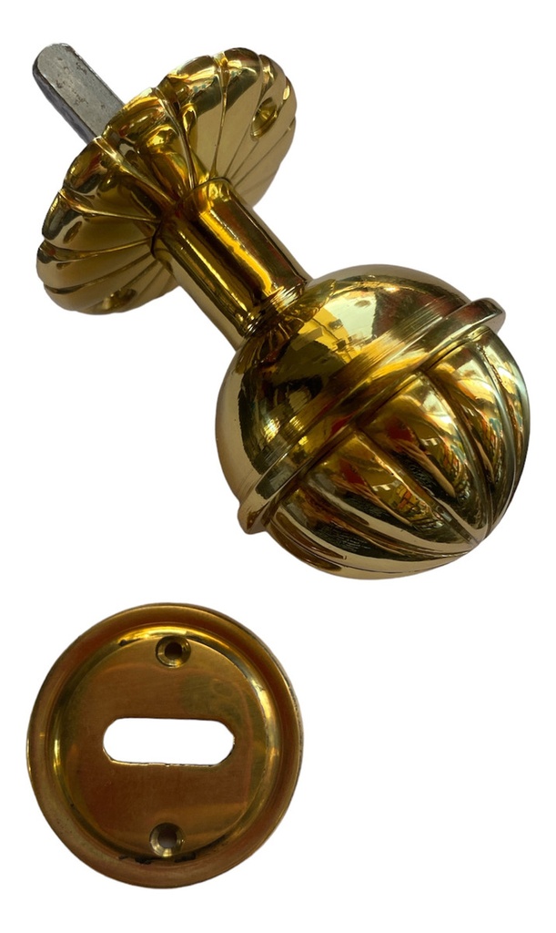 Pomo Liso Gir Bce Plata