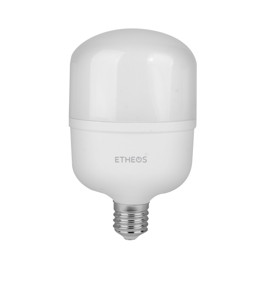 Lampara Led Alta Potencia 20W Fria E27
