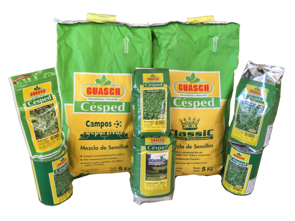 Trebol Blanco Huia - Precio X 200gr  (Suelto)