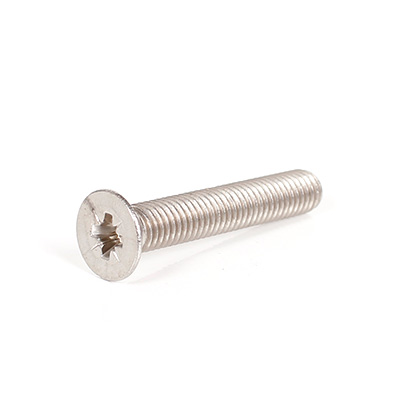 Tornillos Cab Frez Met. Ac. Inox C304 6x20mm
