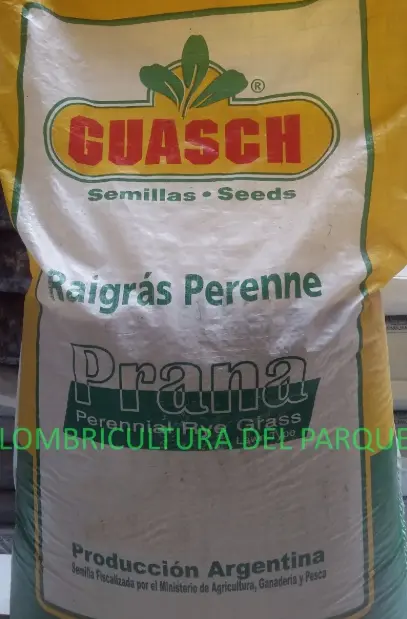Raigras Perenne Prana Std