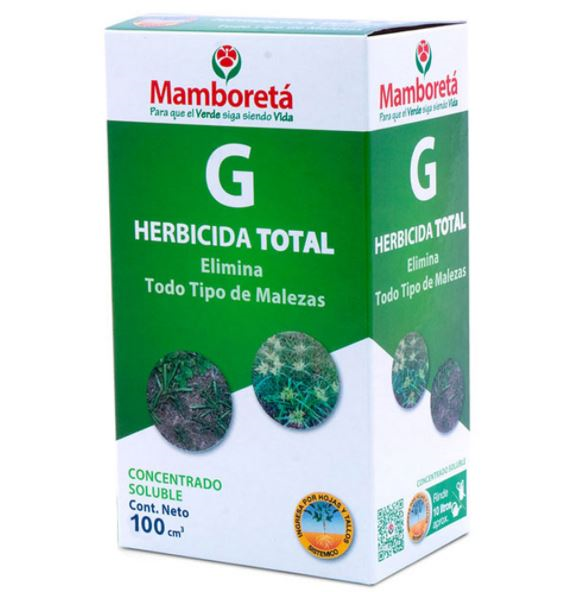 Mamboreta G X 100cc