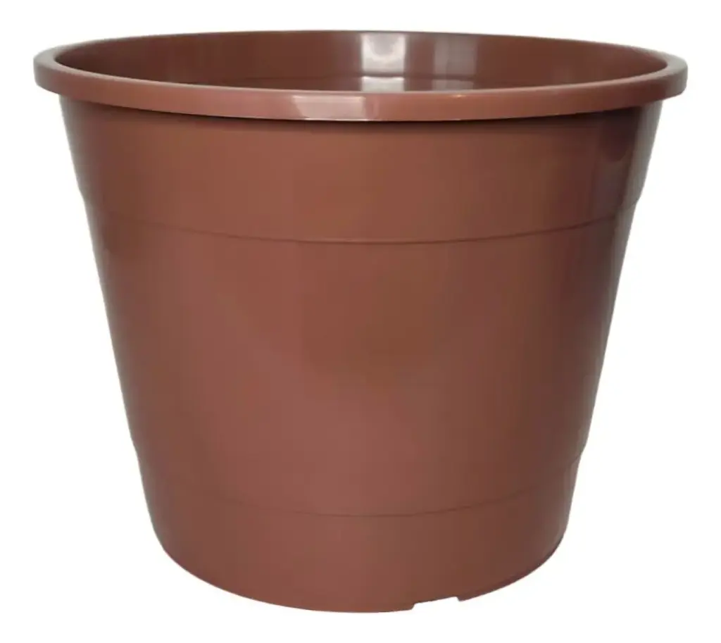 Maceta Rufina N° 20