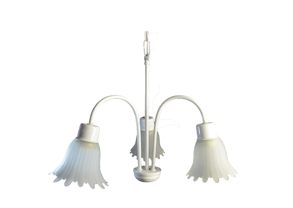 Ara P/Col 2/L C/T Iris Platil