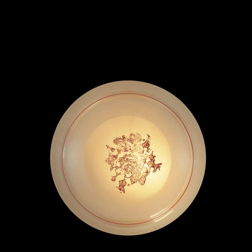 Boina 15 Nº14 T/Flor Arm Pint