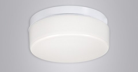 Escolar 25 Opal Arm Dor