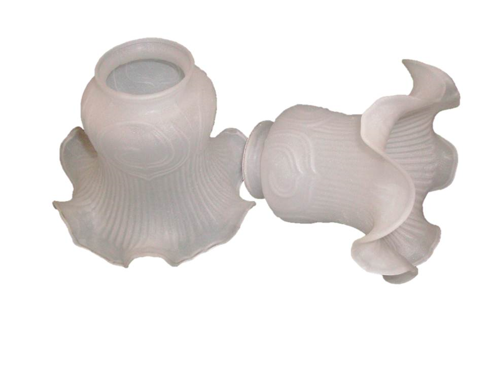 Pollerita Nº1 C/F V/C Esm