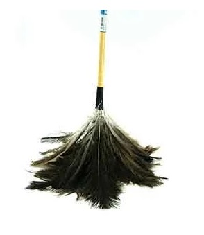 Plumero Nacional Eco Mediano