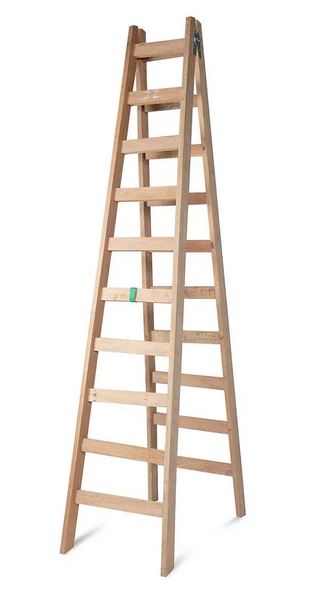 Escalera Pintor X 10