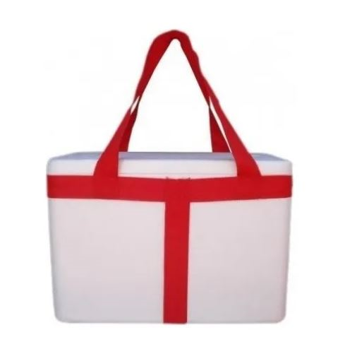 Conservadora Telgopor C/Manija P/6 Bot 430x310x260