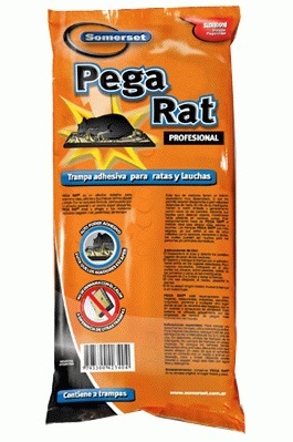 Pega Rat Trampas Adhes P/Lauchas