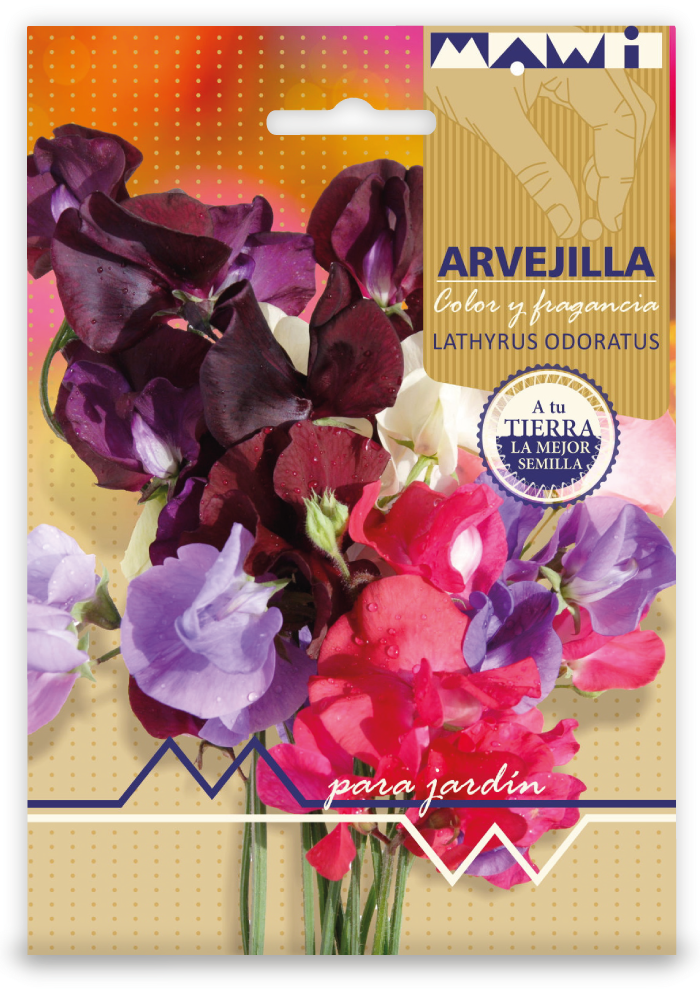 Semillas Flores Arvejilla Roja 20 Semillas X Sobre