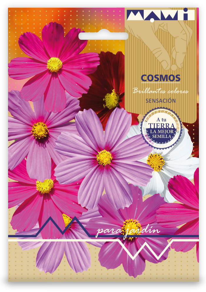 Semillas Flores Cosmos Mezcla X Sobre
