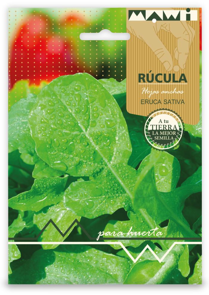 Semillas Huerta Rucula Hoja Ancha X Sobre 200 Semillas
