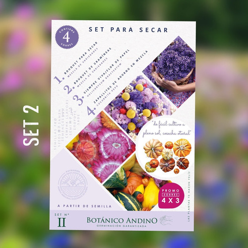 Set 4 Sobres De Flores Para Secar