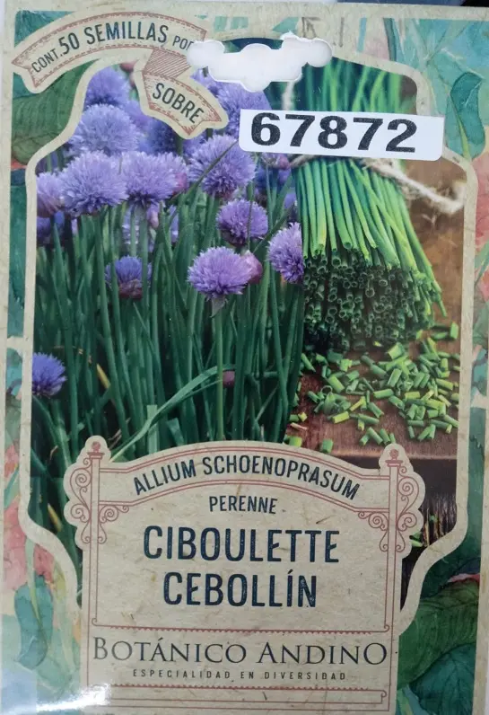 Semillas Huerta Ciboulette Cebollin 50 Semillas  X Sobre