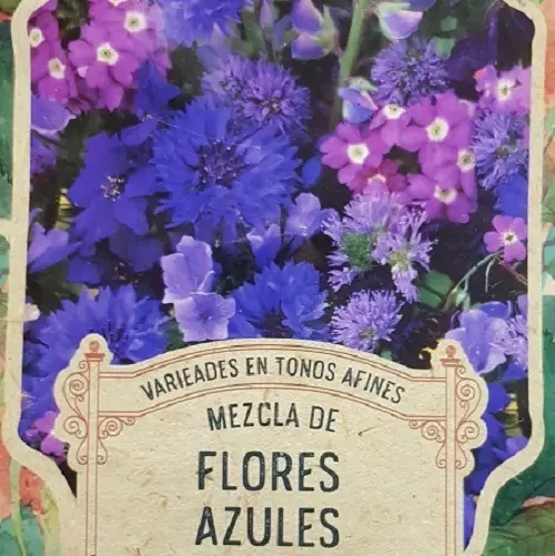 Semillas Flores Lavatera Variada 50 Semillas X Sobre