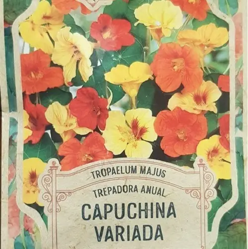 Semillas Flores Capiccina Variada 20 Semillas X Sobre