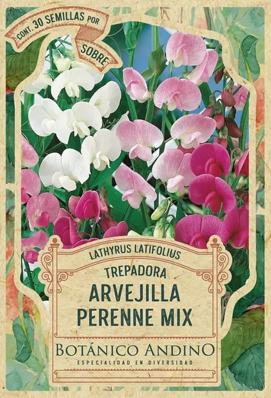 Semillas Flores Arvejilla Perenne Mix 30 Semillas X Sobre