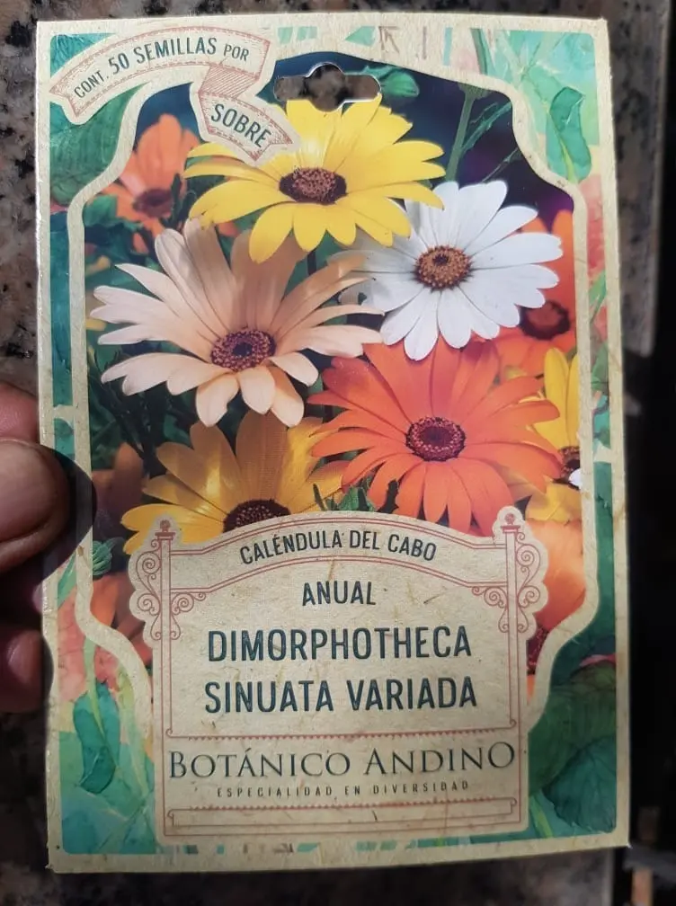 Semillas Flores Dimorphoteca Sinuata 50 Semillas X Sobre