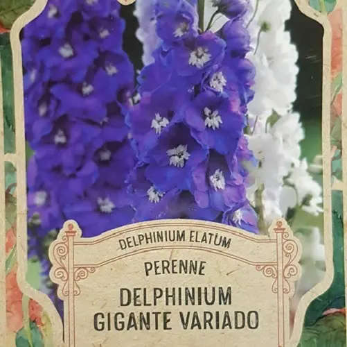 Semillas Flores Delphinium Gigante 50 Semillas X Sobre