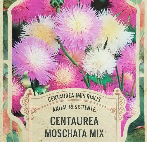 Semillas Flores Centaura Moschata 30 Semillas X Sobre