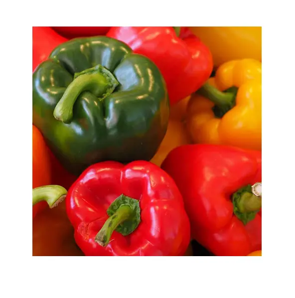 Semillas Huerta Blen De Morrones 50 Semillas X Sobre