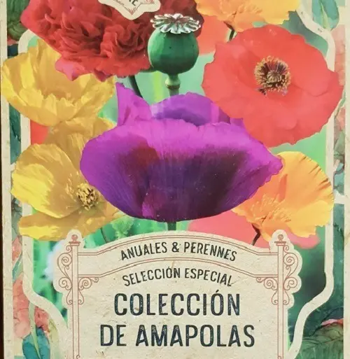 Semillas Flores Coleccion De Amapolas 100 Semillas X Sobre