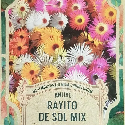 Semillas Flores Rayito De Sol Mix 200 Semillas X Sobre
