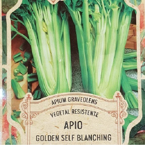 Semillas Huerta Apio Golden Self 100 Semillas  X Sobre