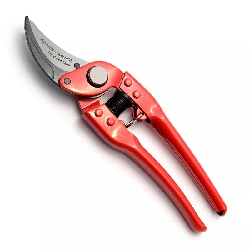 Tijera Poda 9" Bremen 6198