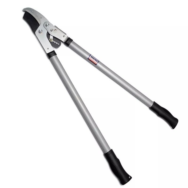 Tijera Poda Cricket Bremen