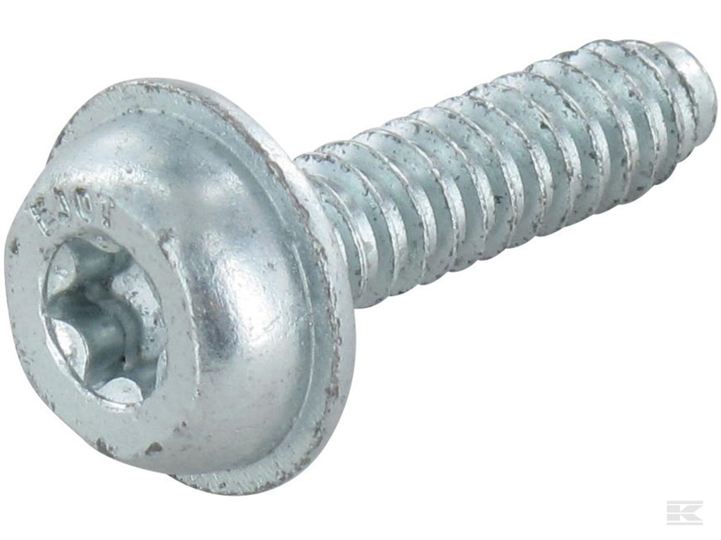 Rep. Tornillo IS - D5x20  00009511100