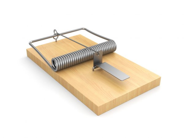 Trampa De Madera Para Ratas