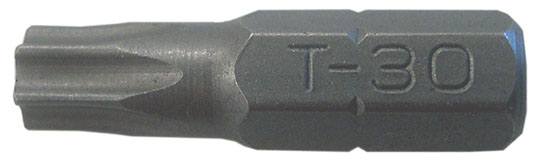 Punta Torx T25 25Mm